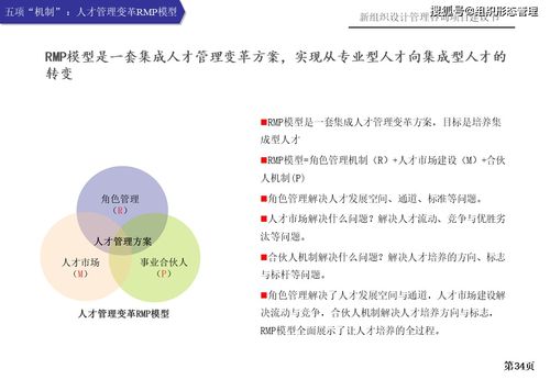 新組織設(shè)計(jì)管理咨詢(xún)項(xiàng)目建議書(shū)