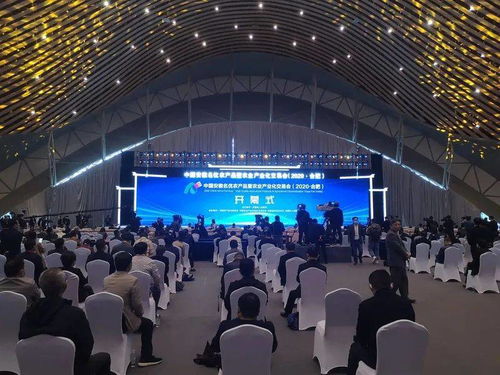 2020中國安徽名優(yōu)農(nóng)產(chǎn)品暨農(nóng)業(yè)產(chǎn)業(yè)化交易會合肥開幕 孫正東巡視阜陽展廳潁上展臺
